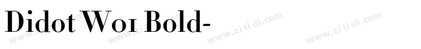 Didot W01 Bold字体转换